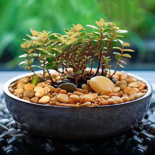 12 LBS River Rocks, StoneCreek, Decorative Garden Stones for Plant Landscaping, Polished Gravel Filler Pebbles for Home Decoration, Vases, Succulents, Flower Beds and Fish Tanks (Pale Yellow, Medium)