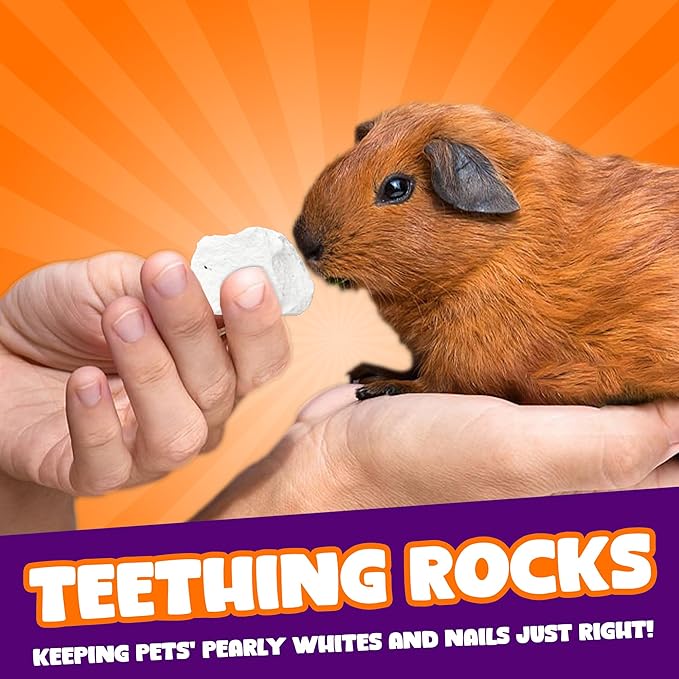 CoCoo 2 oz Grinding Rocks for Small Pets – Rabbit Teeth Grinder, Lava Rock Chew Toy, Accessory for Teeth & Nail Care, Calcium Enrichment, Smooths Claws, Non‑Dye Decorative Cage Stone for Hamsters