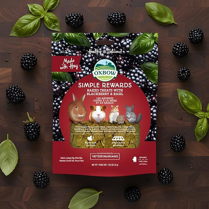 Oxbow Simple Rewards BlackBerry & Basil Treats, Great as Chinchilla, Hamster, Rodent, Guinea Pig & Rabbit Treats, Small Pet Snack, Made Timothy Hay, Made in USA, 3 oz (Pack of 2)
