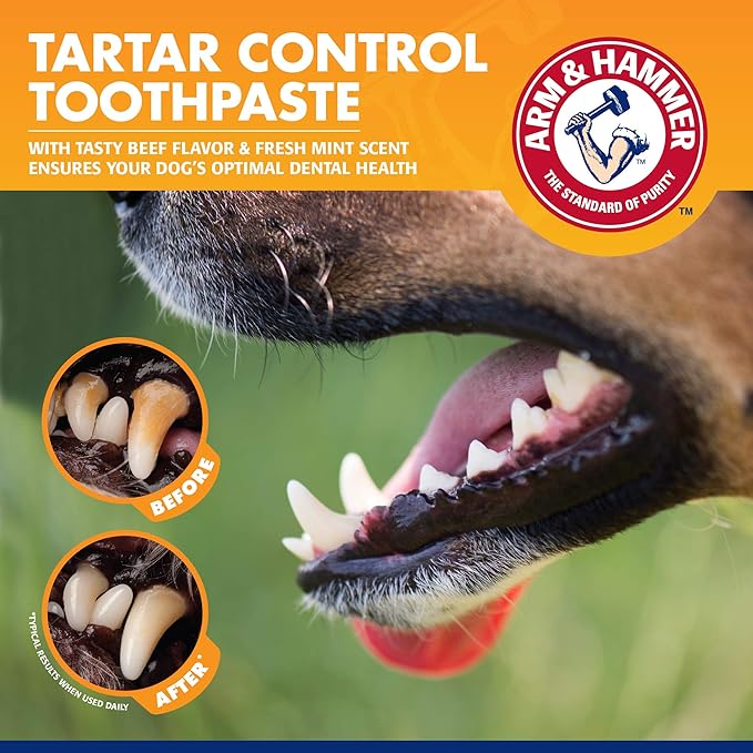 Arm & Hammer for Pets Tartar Control Enzymatic Dog Toothpaste, Reduces Plaque & Tartar Buildup, Infused with Baking Soda, Safe for All Dogs and Puppies, Beef Flavor, 2.5 Oz