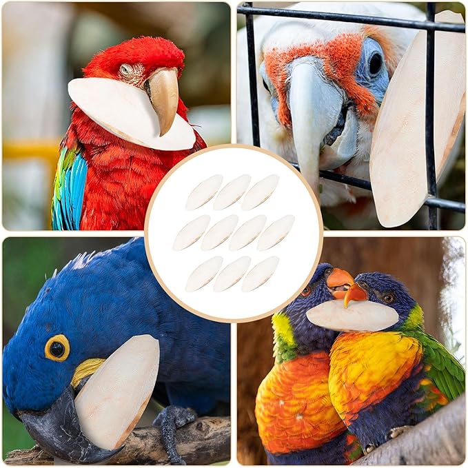 20 Pack Bird Cuttlebone Chew Toy, Natural Cuttlebone for Birds Parakeets Reptile Tortoises Snails, Cuttlefish Bone for Birds, Bird Calcium Stone for Parrots Cockatiels Budgie Macaw