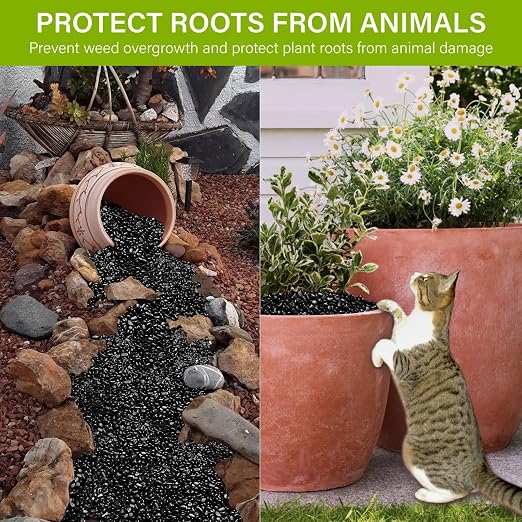 NUPICK 12lb River Rocks for Plants Indoor, Black Pebbles for Vases Fillers | 1/5 Inch Decorative Pea Gravel for Fish Tank, Natural Polished Stones for Succulent, Bonsai, Landscaping, Bird Baths