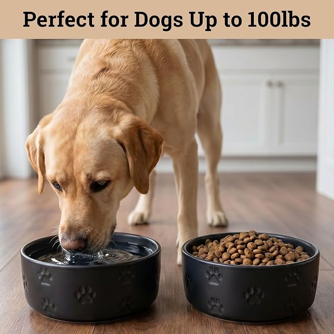 Ceramic Dog Bowl Set of 2 with Anti-Skid Base - 7.5" Wide x 3" Tall Ceramic Dog Bowls for Large Dogs - 6 Cup Capacity Food and Water Bowls for Dogs - Rubber Bottom Pet Bowl Set of 2 for Large Pets