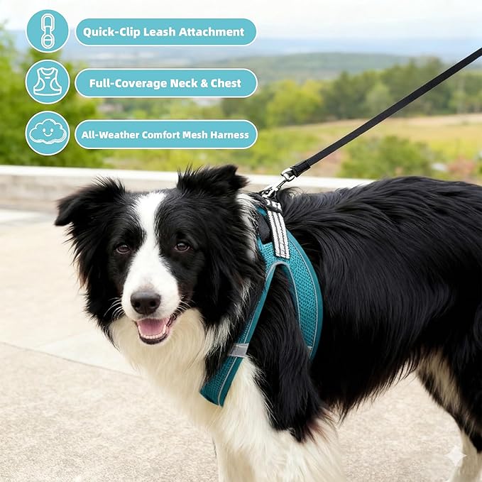 SMOUATOU All Weather Mesh Step in Vest Harness for Small and medidum Dogs and Cats, Adjustable Soft Padded Dog Vest with Easy Control Handle for Dogs Pets (Teal, XS)