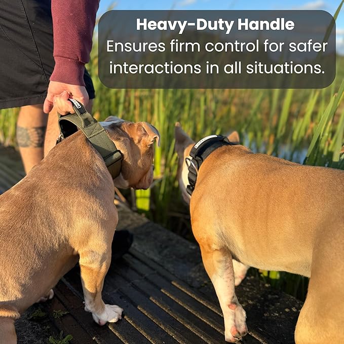 Heavy Duty Dog Collar, Tactical Dog Collar, Dog Collars for Medium Dogs, Waterproof Dog Collar, Dog Training Collar, Quick-Release Metal Buckle, Adjustable Sizes – BULLYBREED (Navy Blue, Medium)