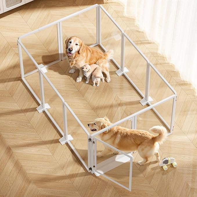 25.6”H Clear Dog Playpen Indoor, Thick Plastic Puppy Pet playpen with Lock Door, Foldable Transparent Dog Fence Enclosure for Small Medium Cat Rabbit Whelping, 10 Panel