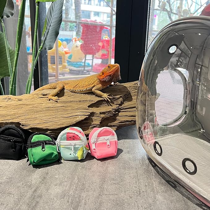 Crested Geckos Backpack Carrier,Reptile Portable Backpack Carrier with Small Backpack Harness Leash Set,Space Capsule Clear Bubble Window Travel Backpack for Lizard Travel,Guinea Pig,Bearded Dragon