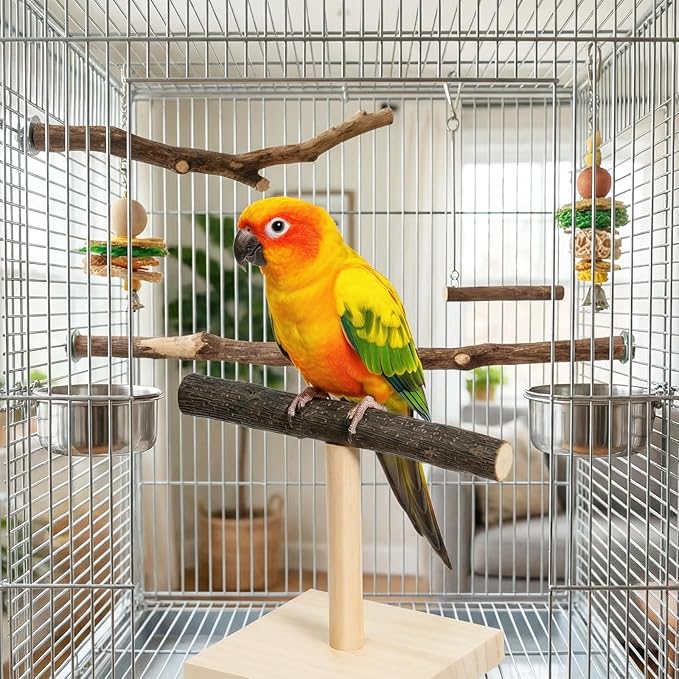 Bird Perch Stand Bird Training Stand Portable Tabletop Parrot Stands Natural Wood Parakeet Perches for Parakeets Cockatiels Conures Macaws Finches Lovebirds