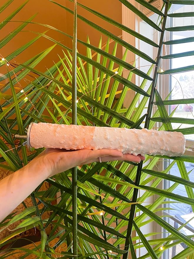 Polly's Edible Cuttlebone Calcium Bird Cage Perch for Budgies, Parakeets, Amazons, Blue & Golds, Macaws and Cockatoos.… (Orange, Large)