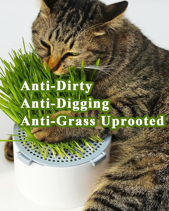 2Pcs Hydroponic Cat Grass Planter (no Seeds Included), Soil Free, Anti Digging, Anti Grass Uprooted, Wheatgrass Growing Kit, Cat Grass for Indoor Cats Pets (2)