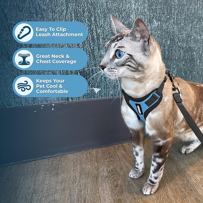 Voyager Escape-Proof Step-in Lock Cat Harness & 5ft Neoprene-Handle Leash Set All-Weather Mesh with Reflective Stitching for Small to Large Cats by Best Pet Supplies, Baby Blue/Black Trim, XXS