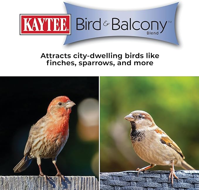 Kaytee Bird & Balcony Wild Bird Food No Mess Seed Blend for City Dwelling Birds Like Finches, Sparrows, Mourning Doves and More, 5 lb