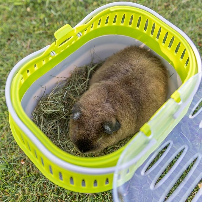 Trixie Pico Transport Crate - Portable Pet Carrier Great for On-The-Go - Traveling Cage for Small Pets, Hamsters, Guinea Pigs, Lizards, and More