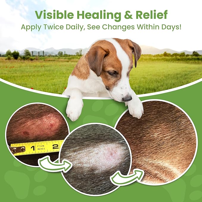 Hot Spot Treatment for Dogs - Pet Wound Care, Healing Ointment for Pets Itchy Skin Relief, Dry Skin Treatment, Natural Allergy Relief, Dog Paw Balm + Manuka Honey, Aloe Vera, Vitamin E (4 Oz.)