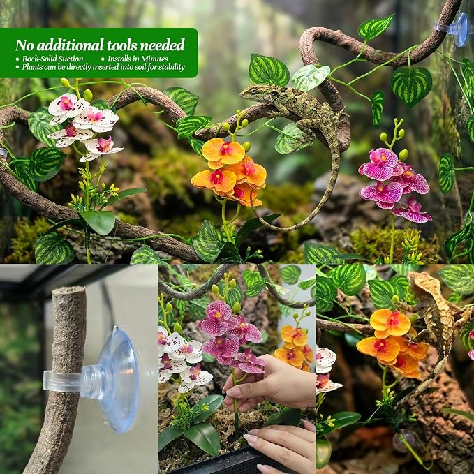 5 Pcs Reptile Plants & Habitat Decor Kit - 3 Artificial Phalaenopsis Orchid & Large 5ft Jungle Vine Branch, Terrarium Tank Decor & Climbing Accessories for Crested Gecko, Bearded Dragon