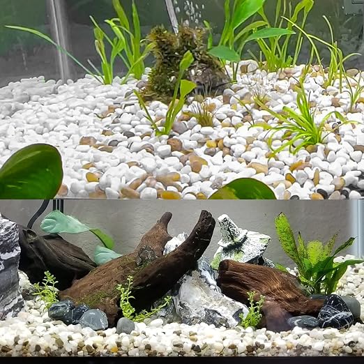 White River Rocks for Plants 11.25 LB Small Decorative Pebbles 1"-1.5" Polished Stones Smooth Aquarium Gravel for Fish Tank Vases Indoor Planters Outdoor Landscaping Garden (180oz)