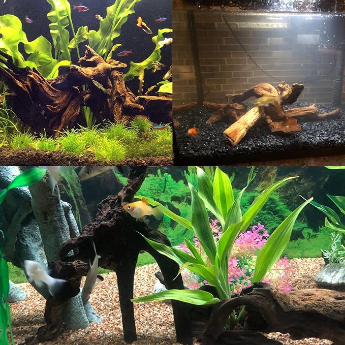 Tfwadmx Natural Driftwood Aquarium Decor Wood Branches, 3 Pieces 7-9.5" Fish Tank Driftwood Decoration, Terrarium Mopani Wood for Aquarium Freshwater Reptile Tank