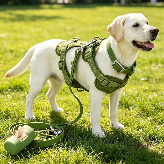 4-in-1 No Pull Dog Harness Set with Collar, Leash, Poop Bag, Adjustable, S