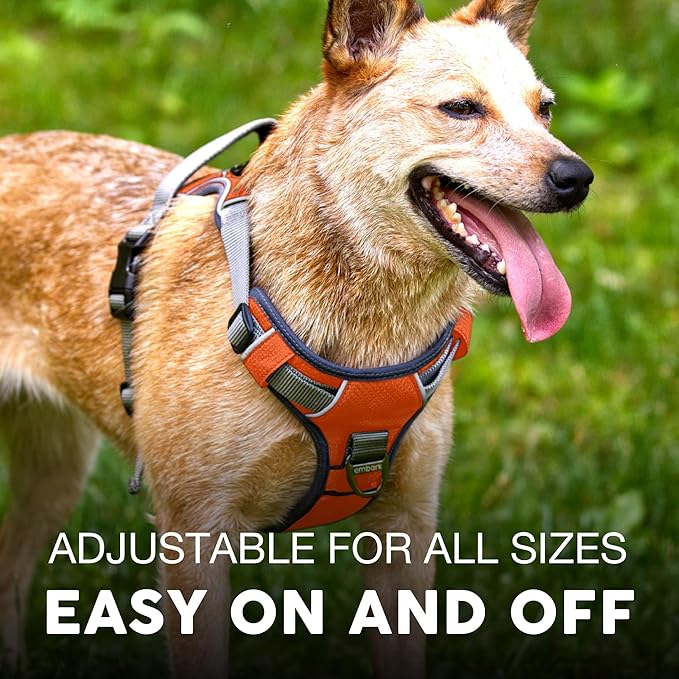 Embark Adventure Dog Harness for Small, Medium & Large Dogs – No Pull, Reflective Trim, Military Grade Nylon, 2 Leash Clips, Gel-Lined Handle, Soft Padded