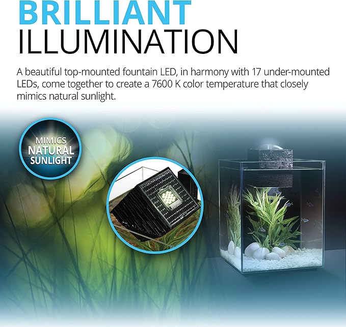 Fluval Chi II Series Aquarium Set, 5-Gallon - Aquarium Tank with Ambient LED Lighting, Flowing Water, and Elegant Design, White
