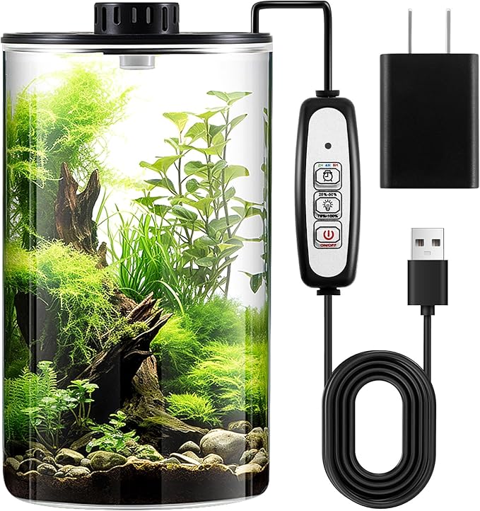 Maxdot Glass Plant Terrarium Kit with Light for Succulent, Moss, Miniature Gardening Landscape, Betta Fish Tank, Office Home Decoration, Plant Lovers Gifts(9.8 x 5.9 Inch)