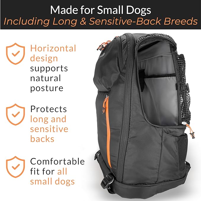 DJANGO Dog Carrier Backpack – Pet Backpack for Small Dogs & Cats with Hip Belt, Laptop Pocket & Water Bottle Sleeve – Travel Dog & Cat Carrier for Hiking, Camping & Commuting (Midnight Black)