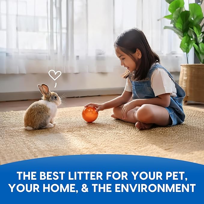 Fresh News Recycled Paper Small Animal Litter Bedding, 10 Liters, Packaging May Vary