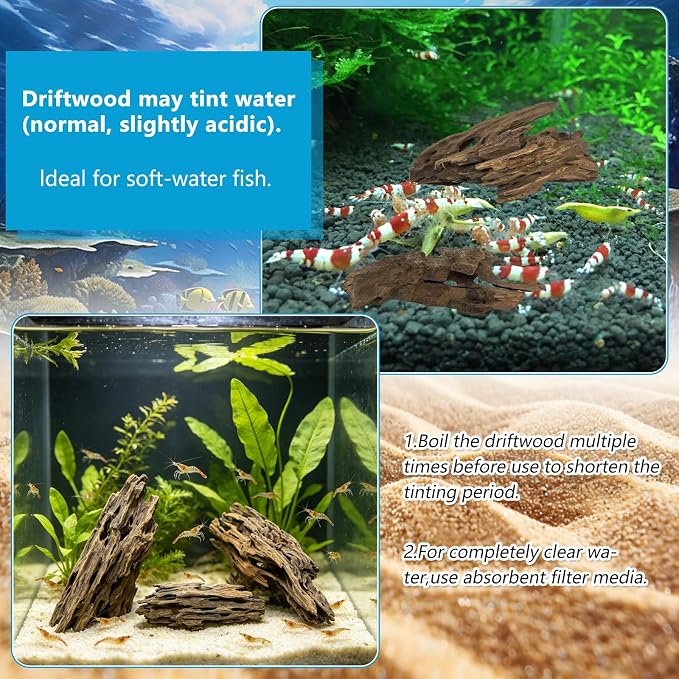 5 Pcs Natural Honeycomb Wood 6-8", Porous Aquarium Driftwood | Cholla Wood Shrimp Shelter Breeding Cave, Shrimp Dragon Wood for Fish Tank, Aquascaping, Reptile, Terrarium Decor