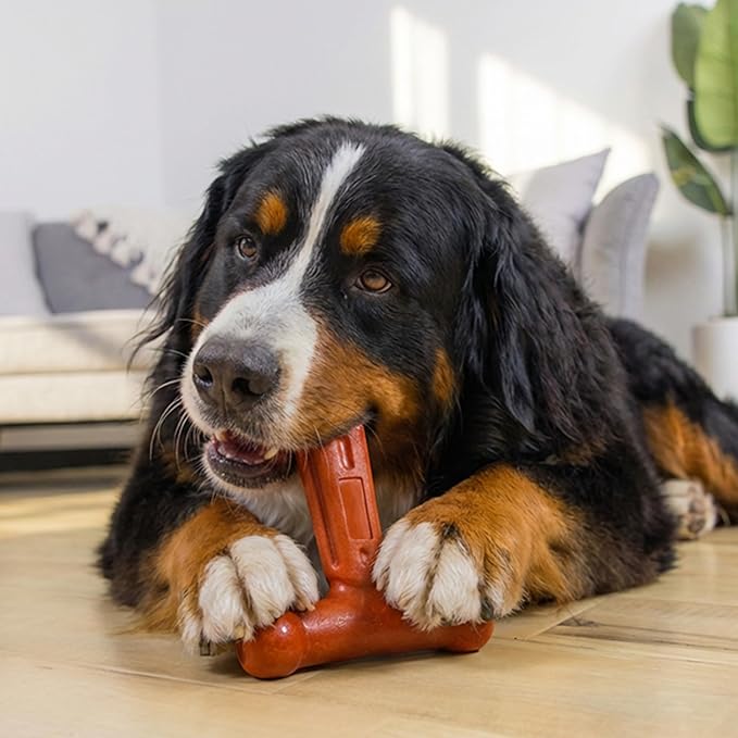 Outward Hound Dogwood Hold & Chew Durable Dog Chew Toy, Beef Scent, Large