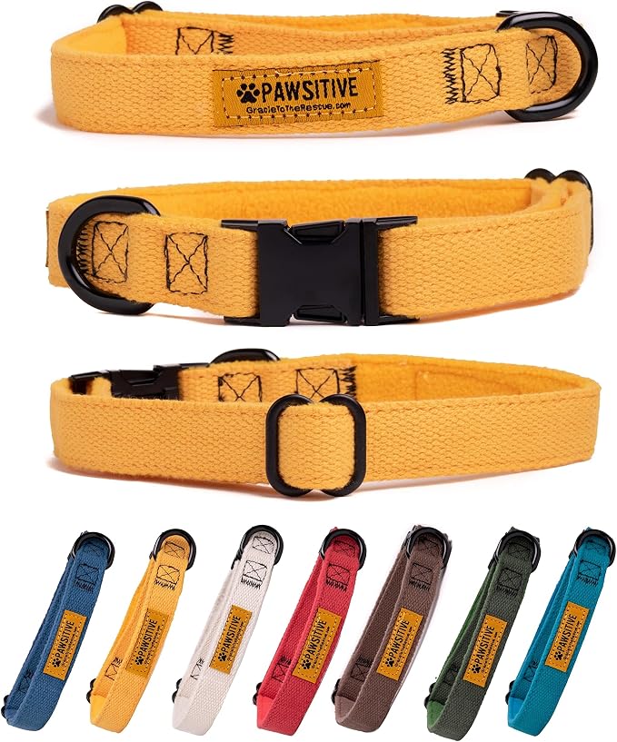 Pawsitive Hemp Dog Collar - Yellow Fall Dog Collar - Super Soft Hypoallergenic Lining. Great for Small, Medium and Large Dogs; Medium Yellow