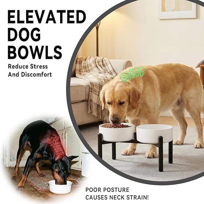 Dog Bowls Elevated - Ceramic Raised Dog Bowl with Non Slip Steel Stainless Stand - No Spill and Heated Feeding Station - Food and Water Dish Set for Medium to Large Pet - Each Holds 7.5 Cups – Grey