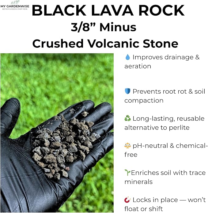 Lava Rocks for Plants (3/8’’ Minus), Natural Black Lava Rocks, Succulent & Terrarium Horticultural Volcanic Rock, Drainage for Potted Plants, Made in USA (1 qt - 2 lbs)