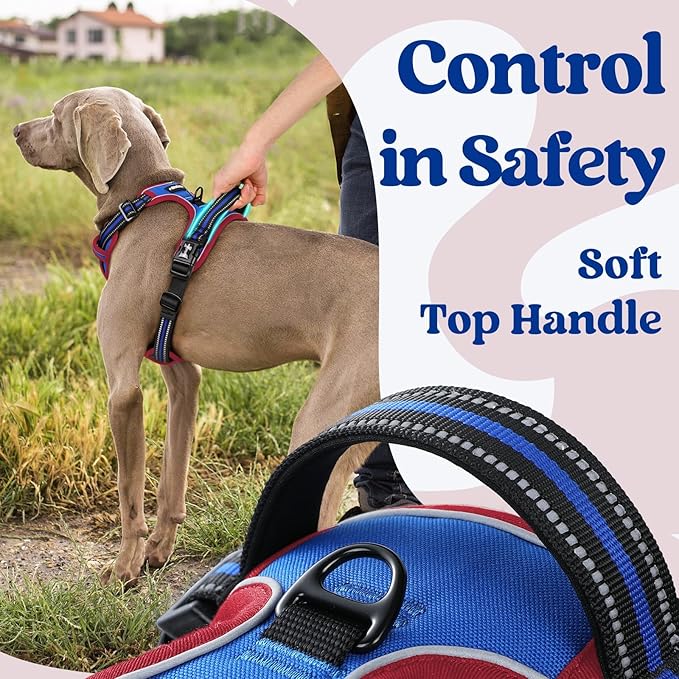 rabbitgoo Dog Harness Small Sized, No Pull Pet Harness with 3 Buckles, Adjustable Soft Padded Vest with Control Handle, Walking Reflective Pet Vest for Small Dogs, Royal Blue & Red, S