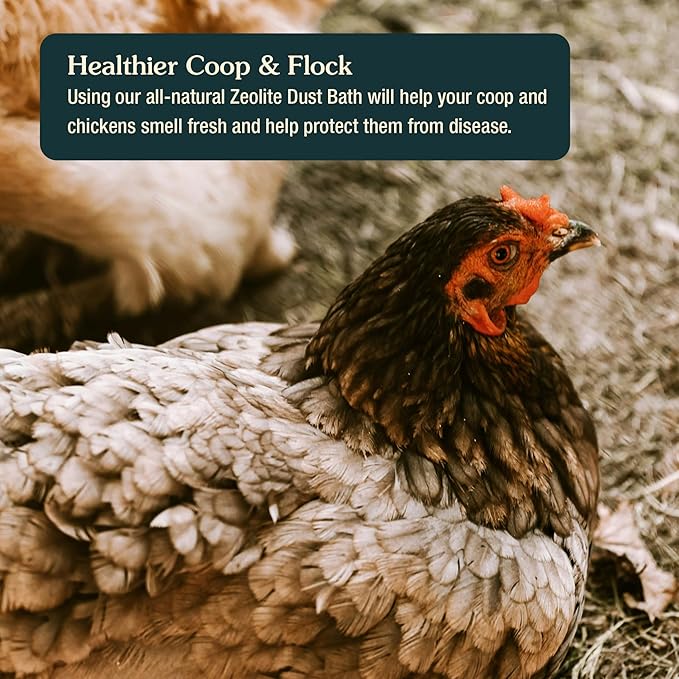Zeolite Chicken Dust Bath, 24 lb | All-Natural Finely Milled Zeolite Dust | Natural Kraft Box Packaging | Made in The USA