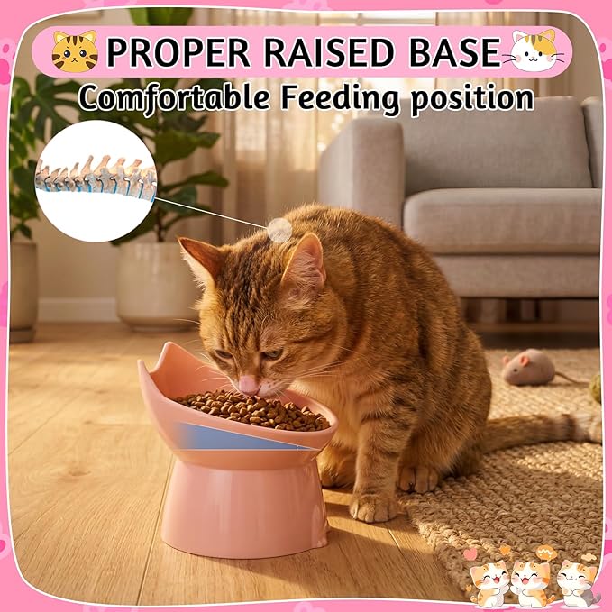 3 Pcs Elevated Cat Bowls 15°Raised Cat Food Bowl with Silicone Mat Whisker Friendly Anti Vomiting Cats Dishes Pet Food and Water Bowls for Indoor Cats Kittens, Pink, Green, Gray