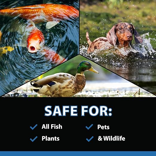 CrystalClear MuckOff Natural Pond Muck Treatment Sludge Remover, 48 Tablets | Living beneficial bacteria clarifier with enzyme for water gardens, fountains & bird baths; fish, aquatic animal & pet safe