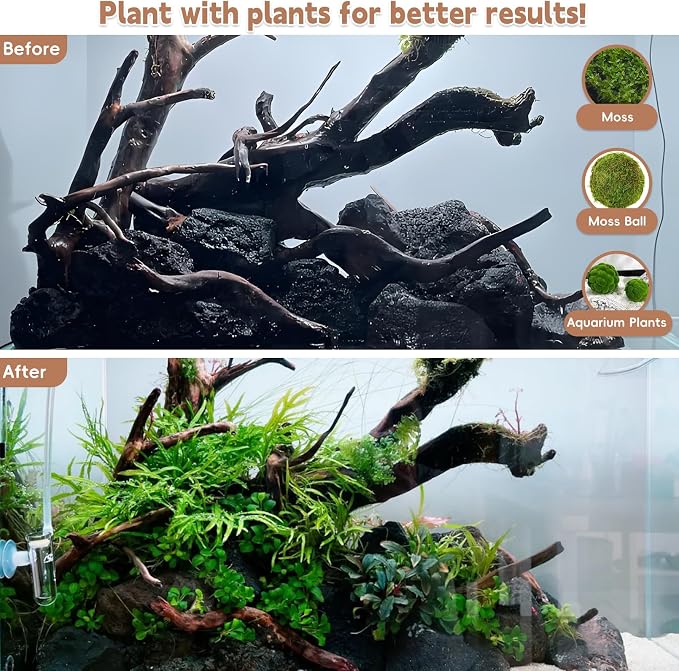PINVNBY Natural Large Driftwood for Aquarium Fish Tank Decorations, Driftwood for Reptile Tank Bearded Dragon Tank Accessories Terrarium Decor (10 to 14 inches / 2 Pack)