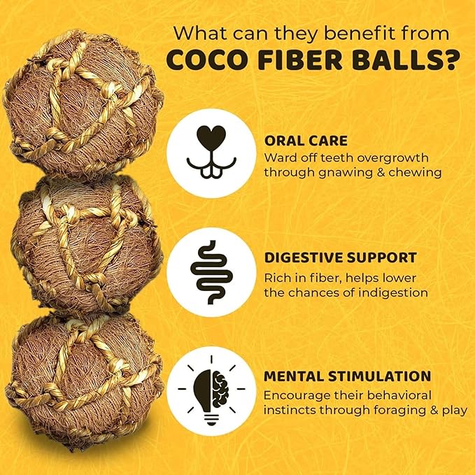 SunGrow Guinea Pig Coconut Fiber Balls, Improves Oral Wellness, Environment Friendly, Stress Reliever, Ideal for Chew Item for Rabbits, Chinchilla & Kitten (3 Pieces)