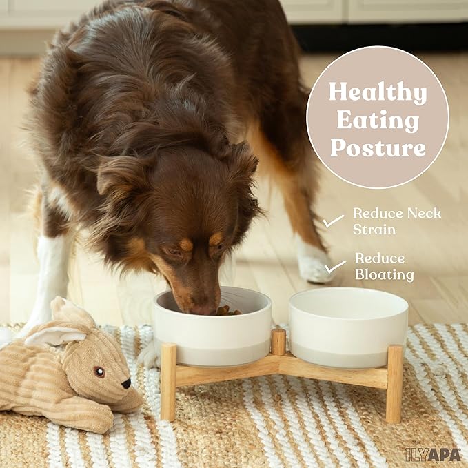 Ilyapa Ceramic Dog Bowls - Elevated for Medium Sized Pet with Raised Food and Water Set - Gray Double 6 inch, 28 Oz Bowls & 13x6.3x5.5 Wooden Stand