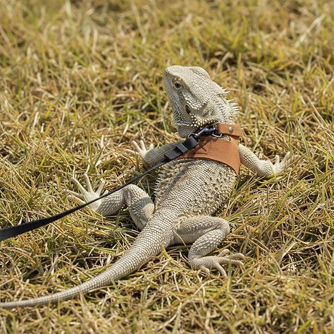 4 PCS Harness and Leash Set, Adjustable Soft Leather Bearded Dragon Leash and Harness Set for Small Animals, Reptiles, Squirrels, Rats (Brown, Black, Silver)