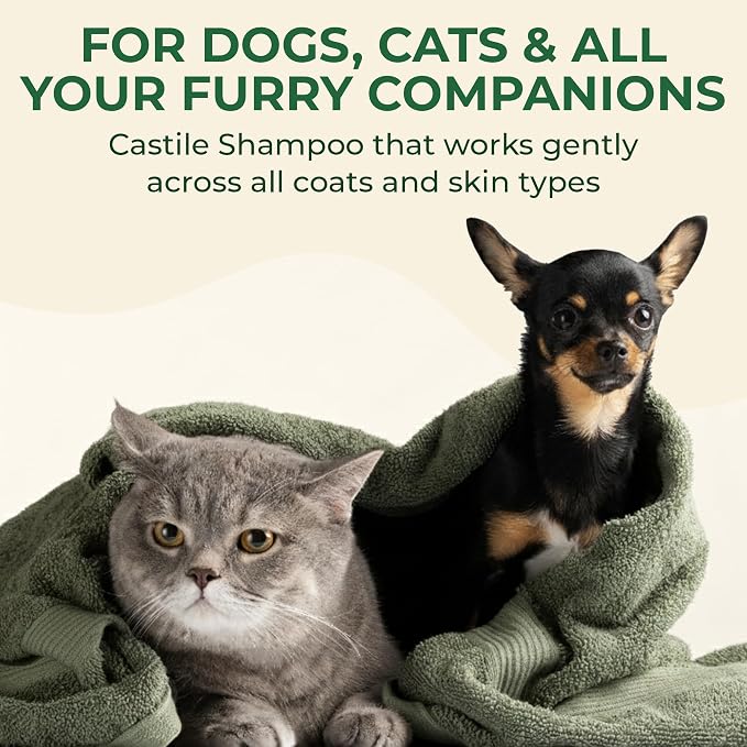 Dr. Jacobs Naturals Castile Pet Shampoo - Gentle Cat & Dog Wash w/Pure Castile Soap - Plant-Based Dog Shampoo w/Olive Oil, Coconut Oil, Shea Butter, Aloe Vera, Vitamin E - Green Tea & Mint