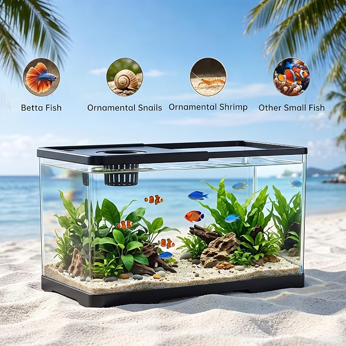 2 Gallon Hydroponic Fish Tank, Small Desktop Aquarium Kit | Compact hydroponic desktop aquarium with quiet filter pump & LED light. Ideal for betta fish, shrimp & home office decor.