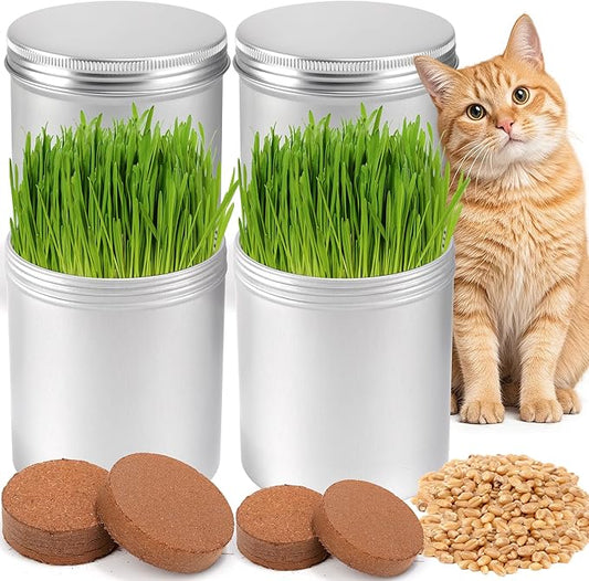 4 Pack Cat Grass Seeds Kit for Indoor Cats, Beginner Friendly Easy Grow Cat Grass Growing Kit, Fast Germinating, Natural Hairball Control, Safe Chewing Grass for Cats & Kittens