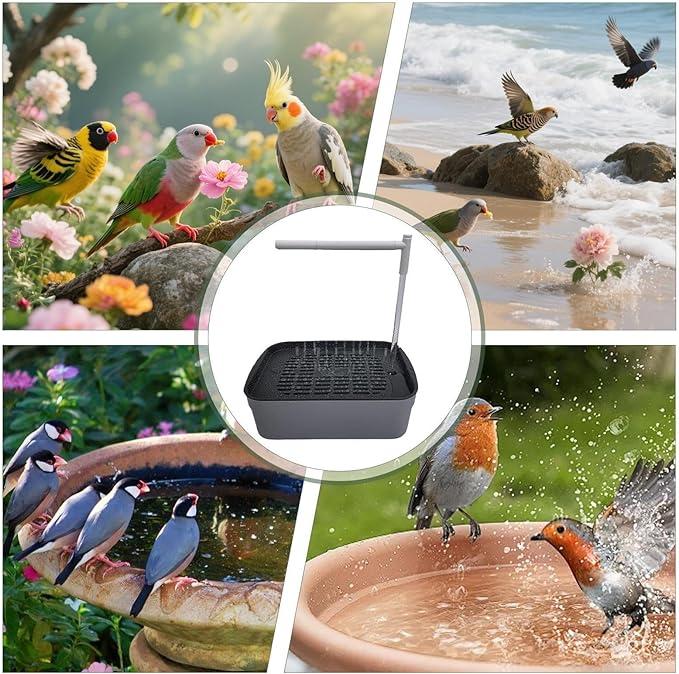 Parrot Shower - Indoor Bird Bath Station, Quiet Water Spray Unit, Automatic Cage Cleaning Flow System, Gentle Mist Bathing Setup For Finch Parakeet Cockatiel Lovebird African Grey | Home Aviary Care X