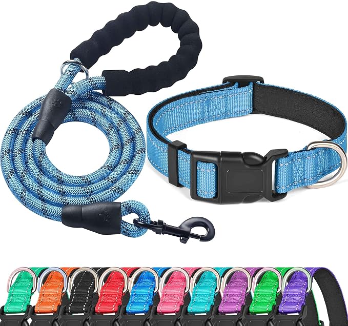 Ladoogo Reflective Dog Collar Padded with Soft Neoprene Breathable Adjustable Nylon Dog Collars for Small Medium Large Dogs (Small (Pack of 1), Vivid Blue Collar+Leash)