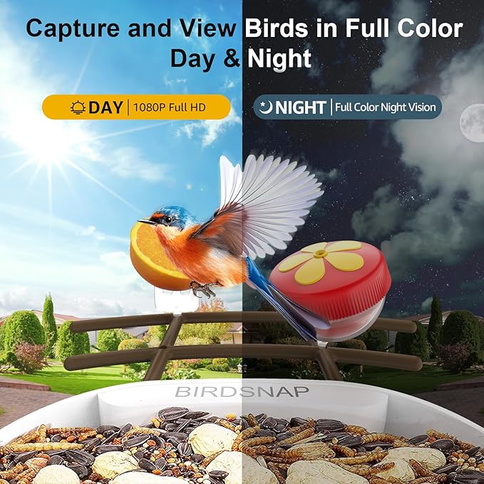 birdsnap® PAV-Bird Feeder with Camera,2K HD with 64GB Card, AI Identify Smart Bird House Cam Solar Panel,Live Stream,Motion Detection,Auto Record Video for Backyard Outdoors,Ideal Gift for Bird Lover