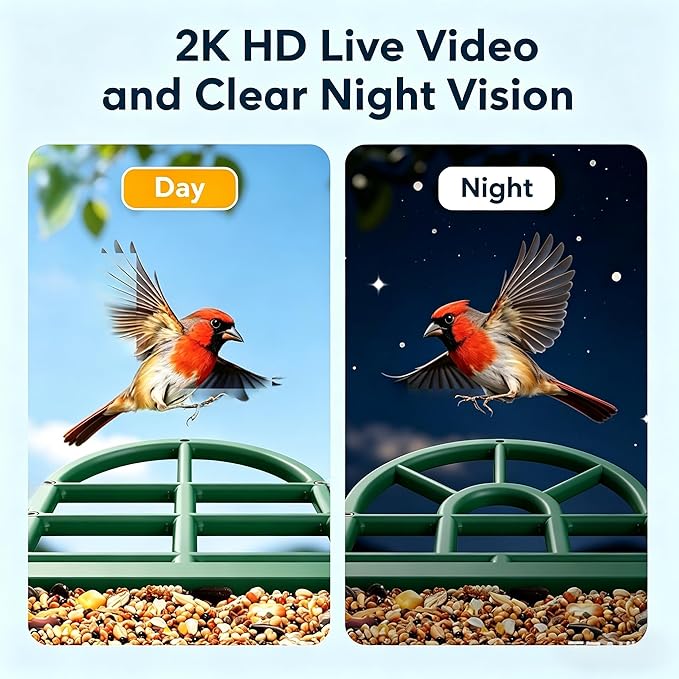 HARYMOR Bird Feeder with Camera Solar Powered-2K Live Feed, Smart AI Identify Birds, 2L Food Capacity, Auto Captured Bird Video, Real-time Arrived Alerts, Mini Hummingbird Feeder for Outdoor Backyard