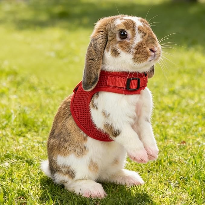 AIITLE Christmas Bunny Harness and Leash Set with Cute Bow, Soft Breathable Mesh Vest Harness for Rabbits Kitten Ferret Small Pig Puppy Walking Supplies Red M