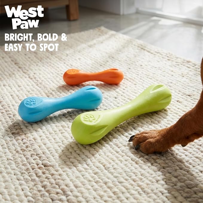 West Paw Zogoflex Hurley Dog Bone Chew Toy – Floatable Pet Toys for Aggressive Chewers, Catch, Fetch – Bright-Colored Bones for Dogs – Recyclable, Dishwasher-Safe, Non-Toxic, X-Small, Aqua