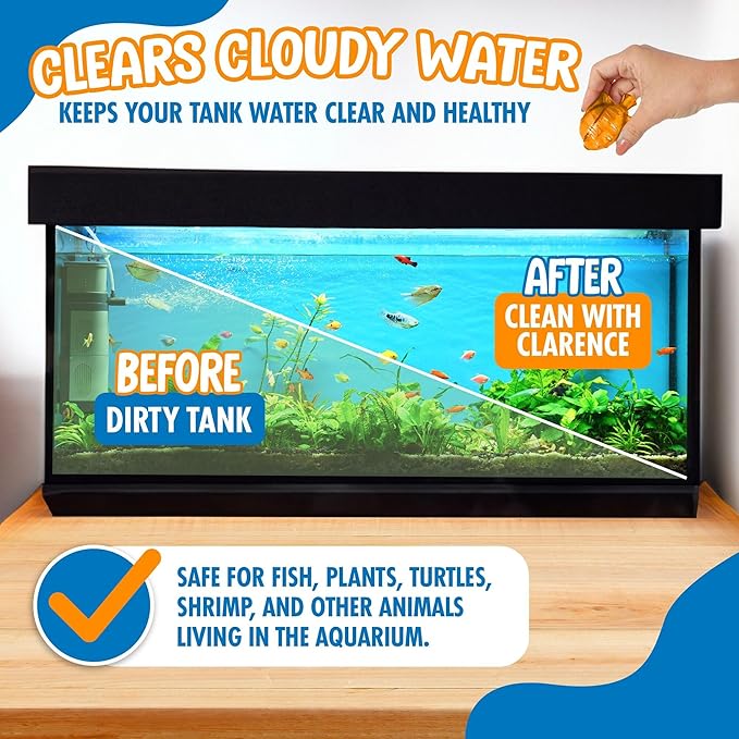 Clarence the Clarifier Fish - 2 pk, Orange - Aquarium Treatment, Clear Cloudy Fresh-Saltwater, Fish-Plant Safe, 10gal Tank Maintenance Each